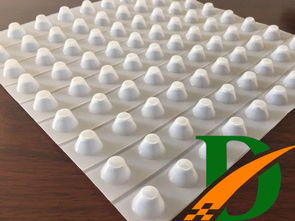 南通高分子防护排 蓄 水板厂家批发 山东达兴新材料