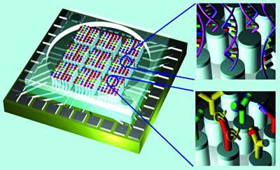 日常生活中的新材料-Institute of Materials for Energy and Environment, Qingdao University