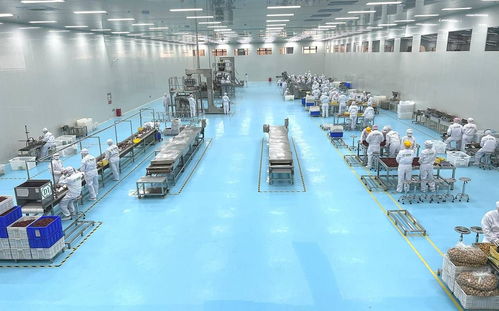 春节坚果零食卷出新高度,新疆大坚果疆果果靠 大 出圈