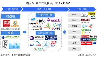 预见2022 《2021年中国二氧化硅产业全景图谱》